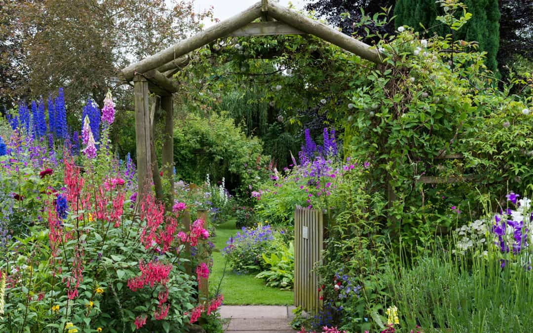 How To Choose The Best For Your Garden